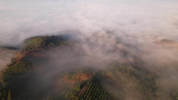 4K Aerial view over high mountain farmland with foggy morning