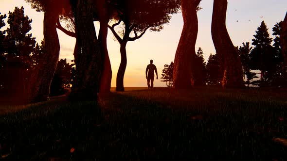 Young Man Walking Alone in the Forest at a Sunset Landscape