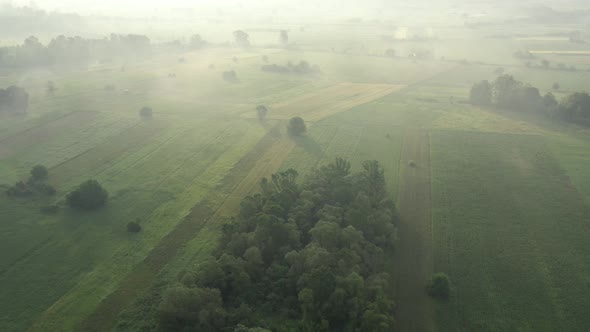 Misty morning scenery with agricultural land 4K drone video