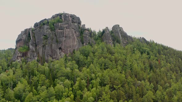 The mount in the wild nature The wild forest