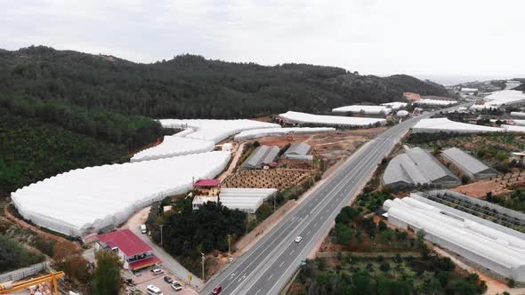 Scale vegetable and fruit farm with greenhouses.