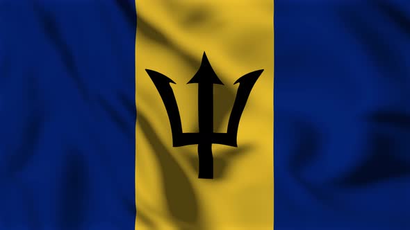 Barbados Flag Animation Loop Background