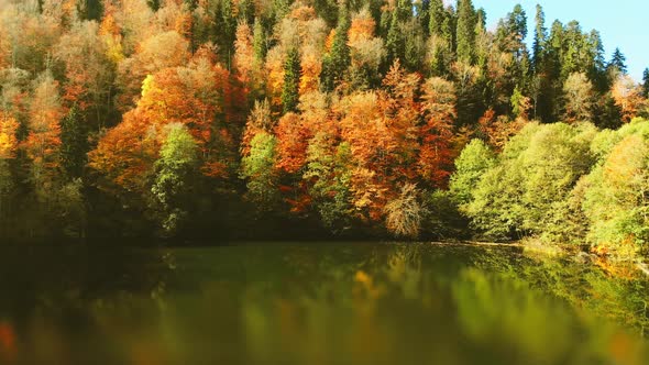 Bateti Lake With Forest In Autumn