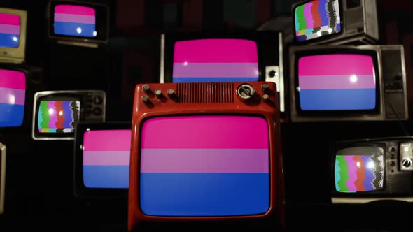 Bisexual Pride Flag and Retro TVs.