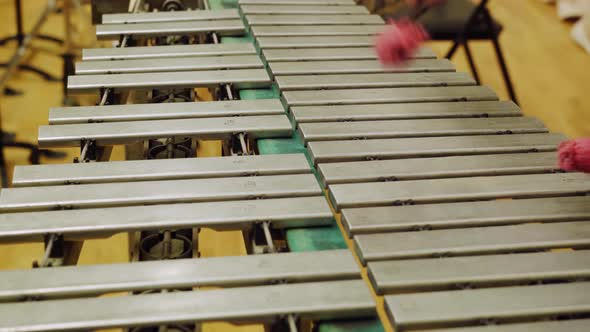 A Young Guy Playing the Vibraphone at a Music School.