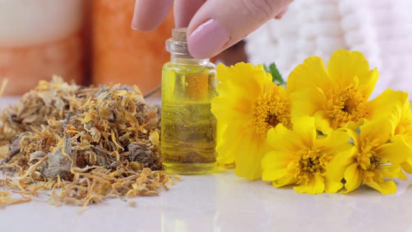 Calendula Flowers and Essence