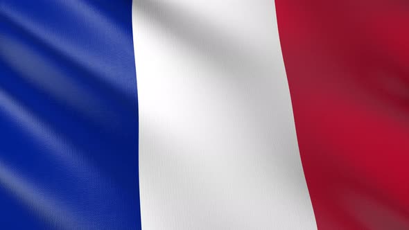 Flag of The France