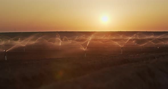 Irrigation Sprinklers In The Field. Watering The Fields At Sunset