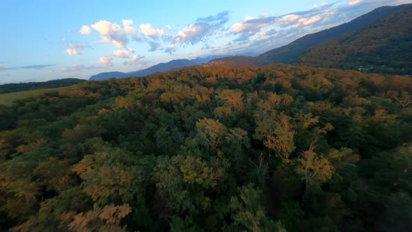 Fast Flight Movement Over Paradise Valley Woodland Multicolored Treetops Scenery Sky Sunrise