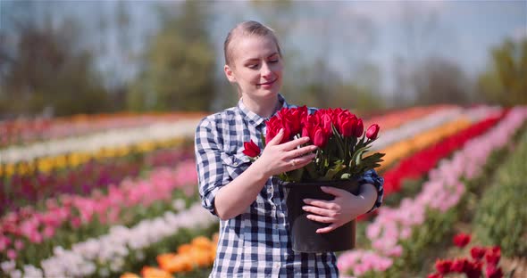 Woman Holding Tulips Bouquet in Hands While Walking on Tulips Field