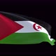 Western Sahara Waving Flag - VideoHive Item for Sale