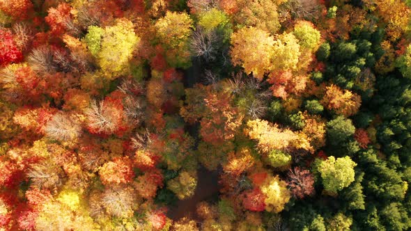 Aerial flythrough of Mountain Forests in Autumn with Fall Colors in New England