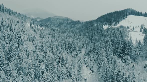 Aerial Beautiful Winter Mountain Landscape