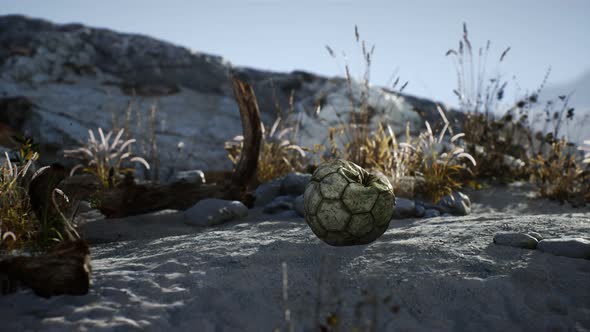 An Old Torn Soccer Ball Thrown Lies on Sand of Sea Beach alt
