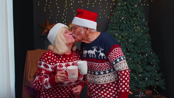 Senior Old Wife and Husband Talking Drinking Tea Near Glowing Xmas Tree on Christmas in Home Room