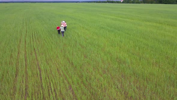 A Happy Family is Running Amicably and Cheerfully on a Green Field