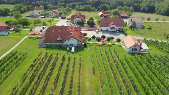 An aerial view of wine yards in Slovenia in 4K