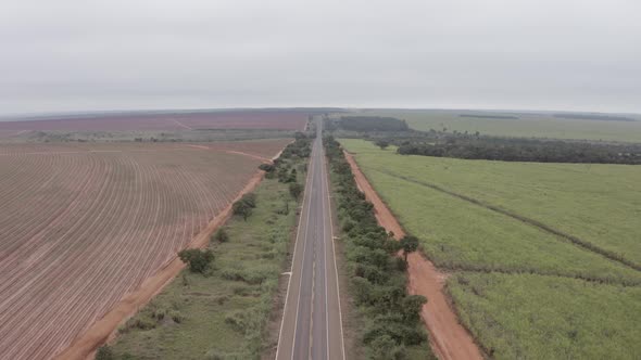 Road next to a crop field in South America filmed by a drone - horizontal shot moving forwards