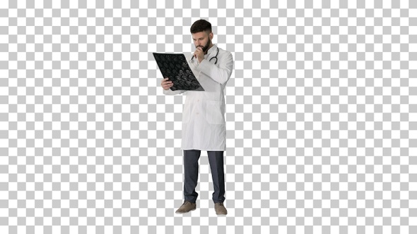 Arab doctor reading and reviewing a MRI brain scan, Alpha Channel