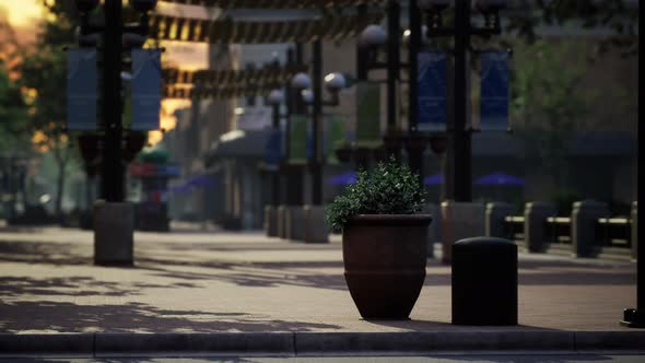 Lockdown Coronavirus Covid19 Empty Streets alt