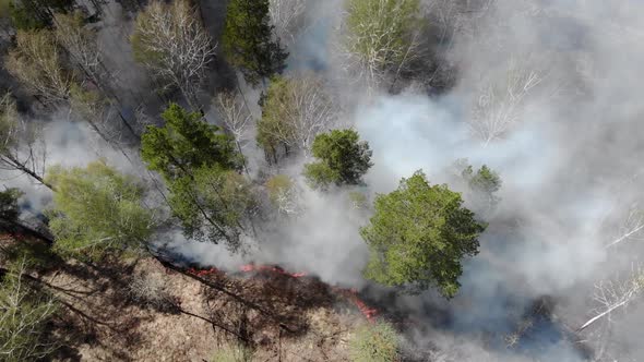 Epic Aerial View of Smoking Wild Fire. Large Smoke Clouds and Fire Spread. Amazon and Siberian