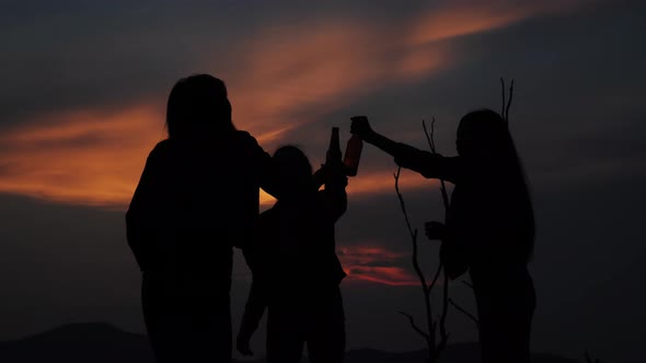 Silhouette of young party on the beach