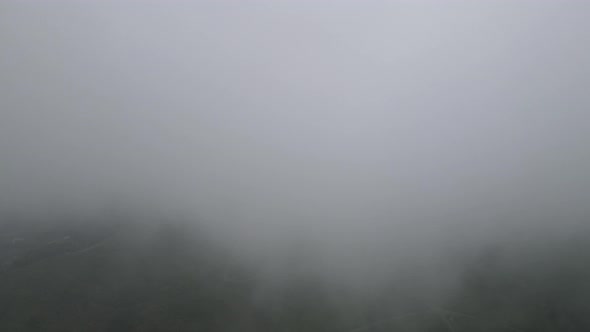 Aerial view of foggy mist tea plantation in Indonesia