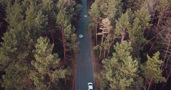 Flight Over the Road in the Forest with a Limit of 20 Km with Cars and Cyclists, Autumn Forest