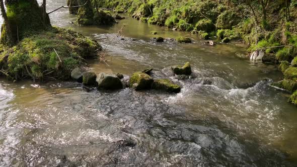 A small river facing upstream