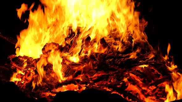 Big Bonfire Burns at Night on a Black Background