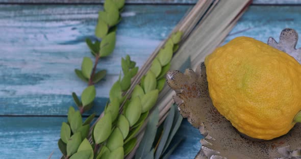 Jewish Holiday of Symbols of the Festival Sukkot with Palm Leaves