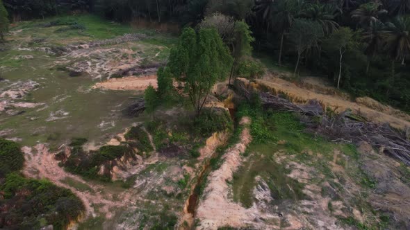 Drone view tree is cut off