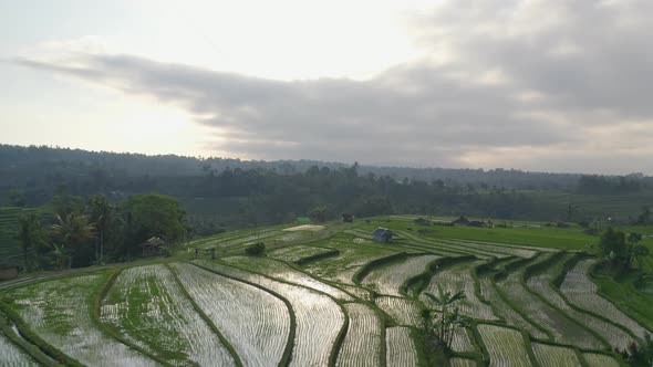 Bali Rice Terraces and the Dark Cloudy Skies with Mountain Forest Silhouette