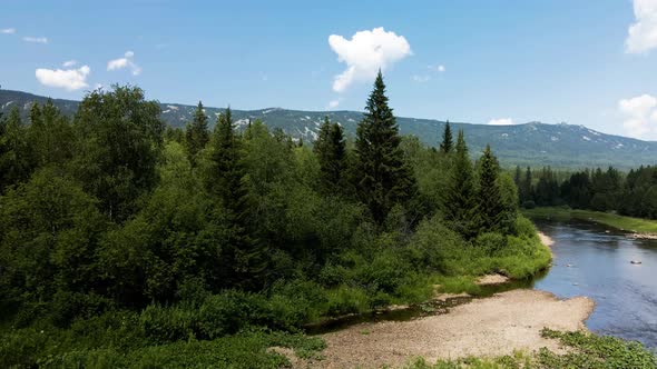 Mountain river and forest among the mountains