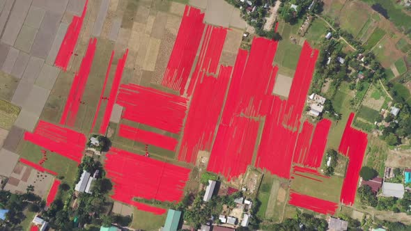 Aerial view of people working in a field, Dhaka, Bangladesh.