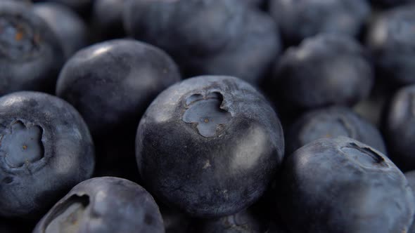 Fresh blueberries extreme close-up. Harvest concept. Macro