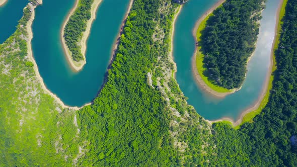 Aerial View of Green Grass Forest with Tall Pine Trees and Blue Bendy River Flowing Through the