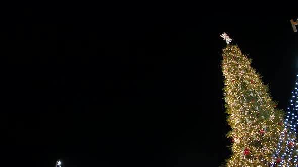 City Square Christmas Tree