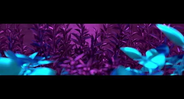 Grass Background Neon Purple Widescreen