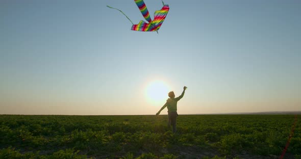 A Boy Is Playing with a Kite in the Sky at Sunset. 