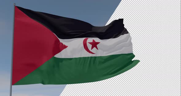 flag SADR patriotism national freedom, seamless loop, alpha channel