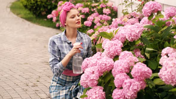 Woman Watered Flower in Her Yard in the Summer. Happy Girl Watering Hydrangeas. Concept of Care