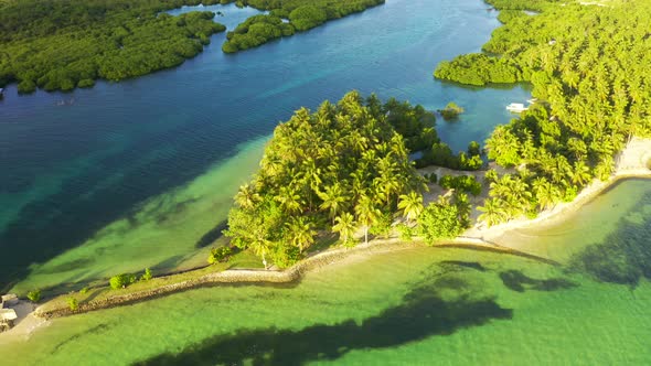 Tropical White Sand Beach with Coconut Palm Tree Background Idyllic Turquoise Sea Aerial View