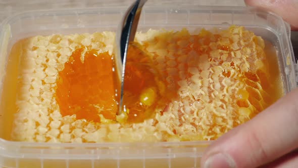 Honey Scooped Up From Tray Of Honeycomb
