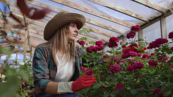 Girl Florist in a Flower Greenhouse Sitting Examines Roses Touches Hands Smiling. Little Flower