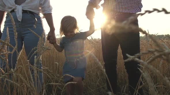 Mom dad holding hands with daughter swing kid on a summer field at sunset