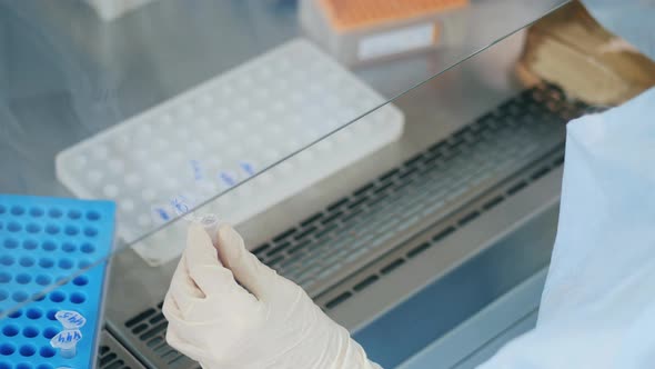 Person Works with Test Tubes in Laboratory.