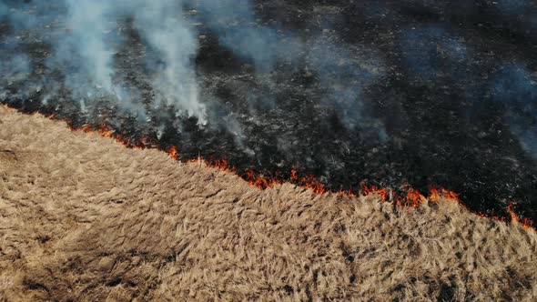 Aerial View of Big Smoke Clouds and Fire on the Field