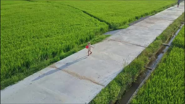 Aerial View Girl Runs on Concrete Road Among Rice Fields