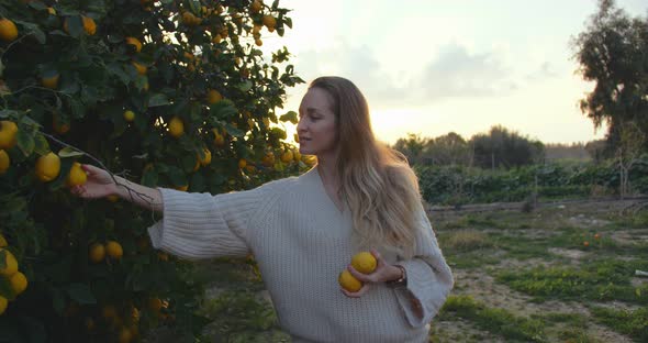 Attractive Girl Picking Lemons in Garden